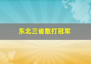 东北三省散打冠军