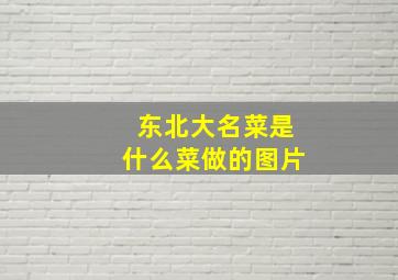 东北大名菜是什么菜做的图片