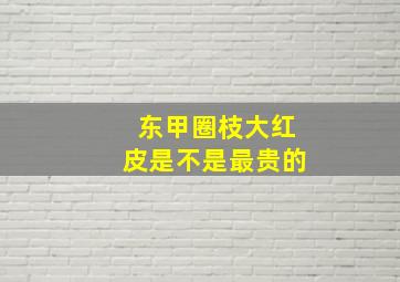 东甲圈枝大红皮是不是最贵的