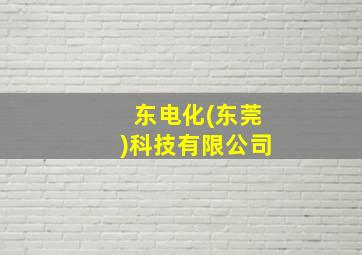 东电化(东莞)科技有限公司