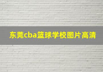 东莞cba篮球学校图片高清