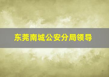 东莞南城公安分局领导