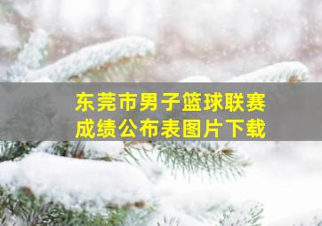 东莞市男子篮球联赛成绩公布表图片下载