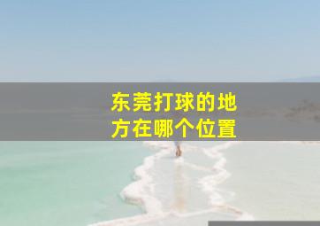 东莞打球的地方在哪个位置