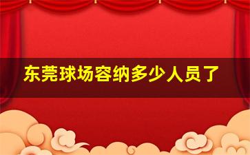 东莞球场容纳多少人员了