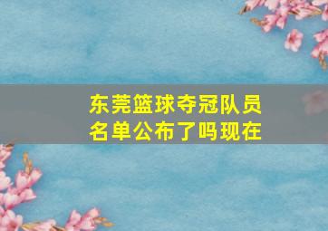 东莞篮球夺冠队员名单公布了吗现在