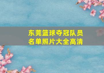 东莞篮球夺冠队员名单照片大全高清