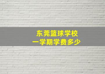 东莞篮球学校一学期学费多少