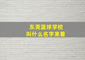 东莞篮球学校叫什么名字来着