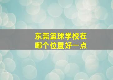 东莞篮球学校在哪个位置好一点