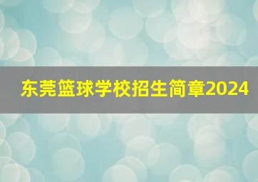 东莞篮球学校招生简章2024