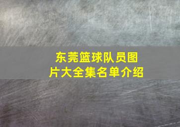 东莞篮球队员图片大全集名单介绍