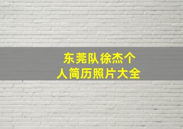 东莞队徐杰个人简历照片大全