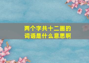 两个字共十二画的词语是什么意思啊