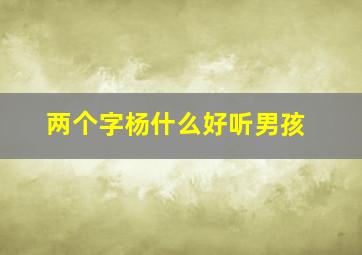 两个字杨什么好听男孩