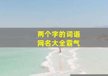 两个字的词语网名大全霸气