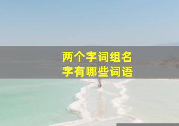 两个字词组名字有哪些词语