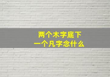 两个木字底下一个凡字念什么