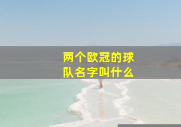 两个欧冠的球队名字叫什么