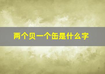 两个贝一个缶是什么字