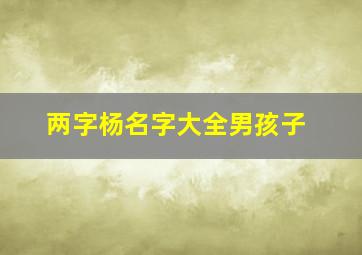 两字杨名字大全男孩子