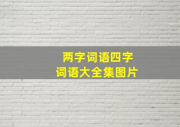 两字词语四字词语大全集图片