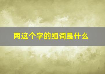 两这个字的组词是什么