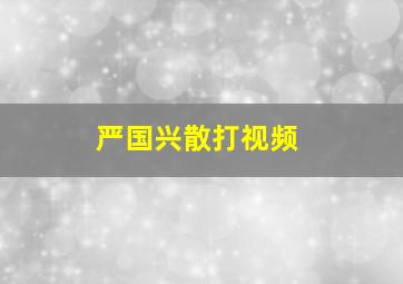 严国兴散打视频