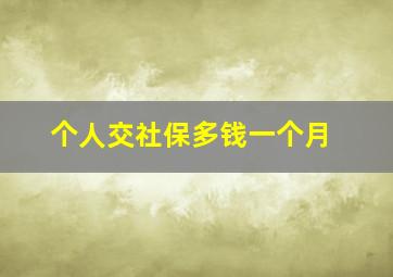 个人交社保多钱一个月