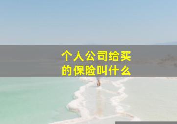 个人公司给买的保险叫什么