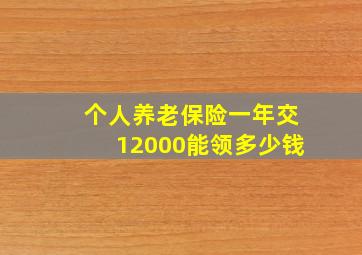 个人养老保险一年交12000能领多少钱