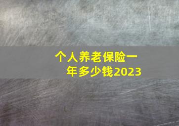 个人养老保险一年多少钱2023