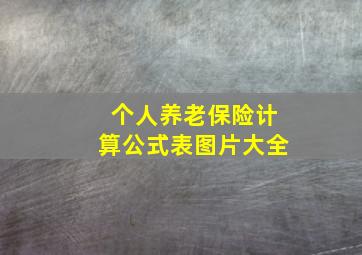 个人养老保险计算公式表图片大全