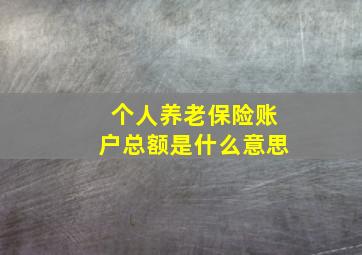 个人养老保险账户总额是什么意思