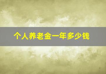 个人养老金一年多少钱