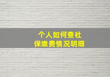 个人如何查社保缴费情况明细