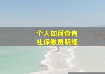 个人如何查询社保缴费明细