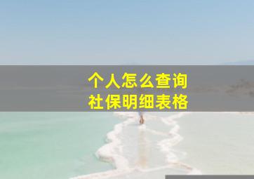 个人怎么查询社保明细表格