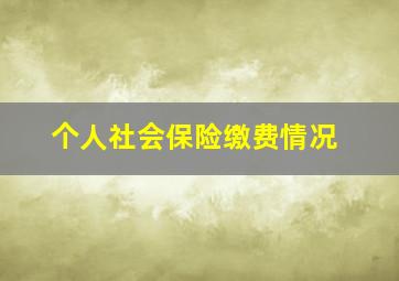 个人社会保险缴费情况