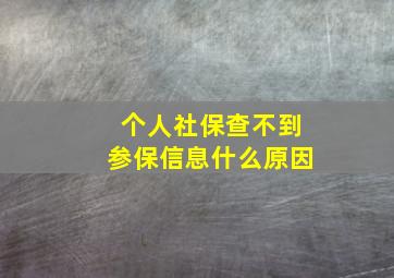 个人社保查不到参保信息什么原因