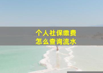 个人社保缴费怎么查询流水