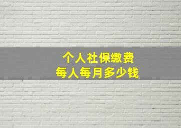 个人社保缴费每人每月多少钱