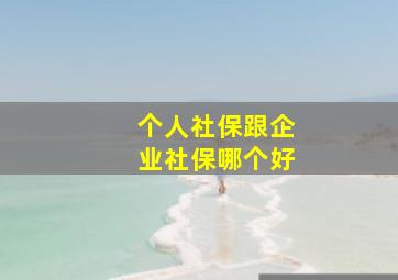 个人社保跟企业社保哪个好