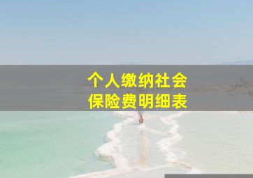 个人缴纳社会保险费明细表