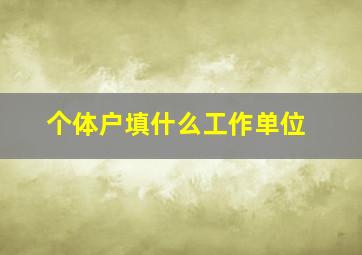 个体户填什么工作单位