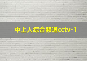 中上人综合频道cctv-1