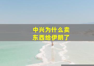 中兴为什么卖东西给伊朗了