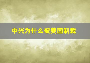 中兴为什么被美国制裁