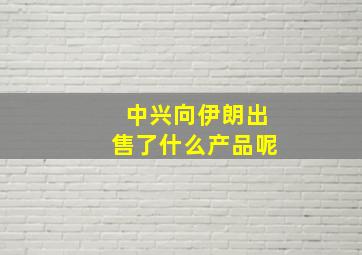 中兴向伊朗出售了什么产品呢