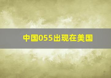 中国055出现在美国